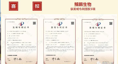 赢博生物 | 核心平台技术获得中国发明专利